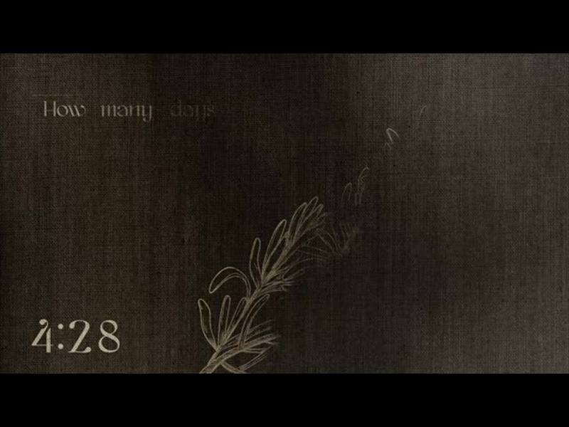 HERITAGE BLOOMS: TRIVIA COUNTDOWN