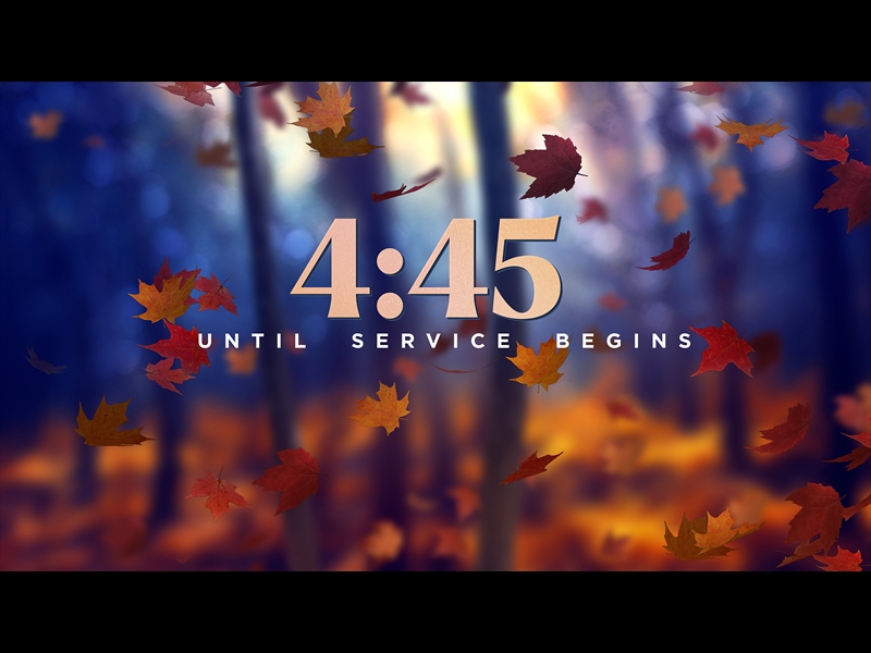 FALL WOODS COUNTDOWN