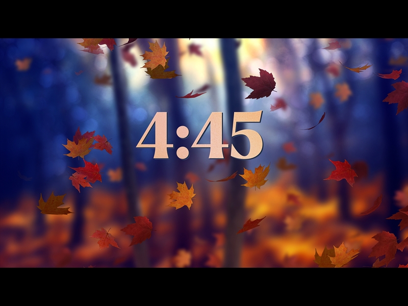 FALL WOODS MINIMAL COUNTDOWN