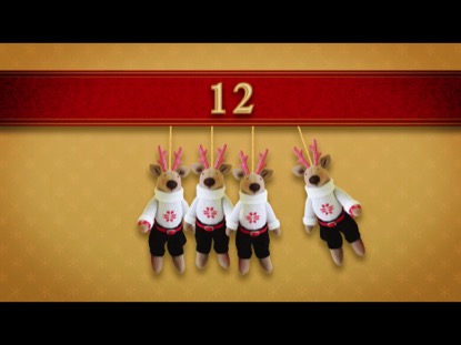 NEWTONS CRADLE CHRISTMAS COUNTDOWN 2