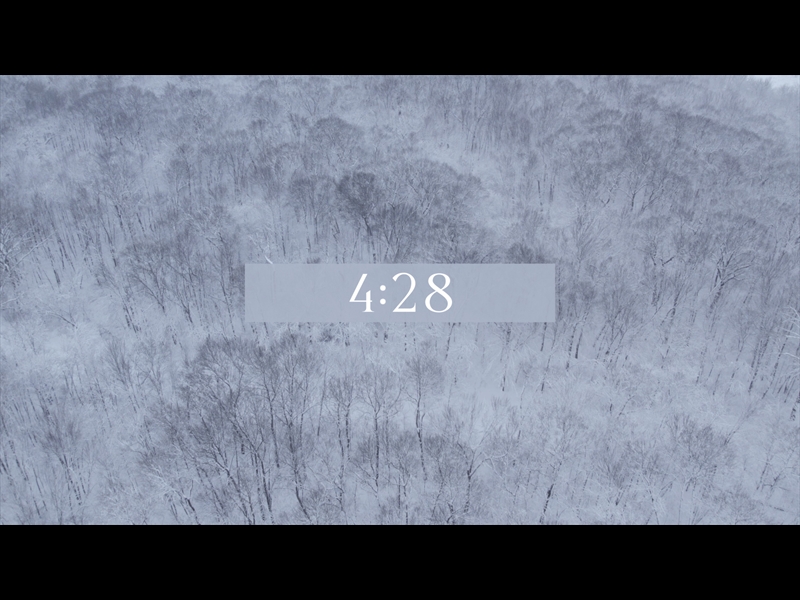 WINTER WOODS COUNTDOWN