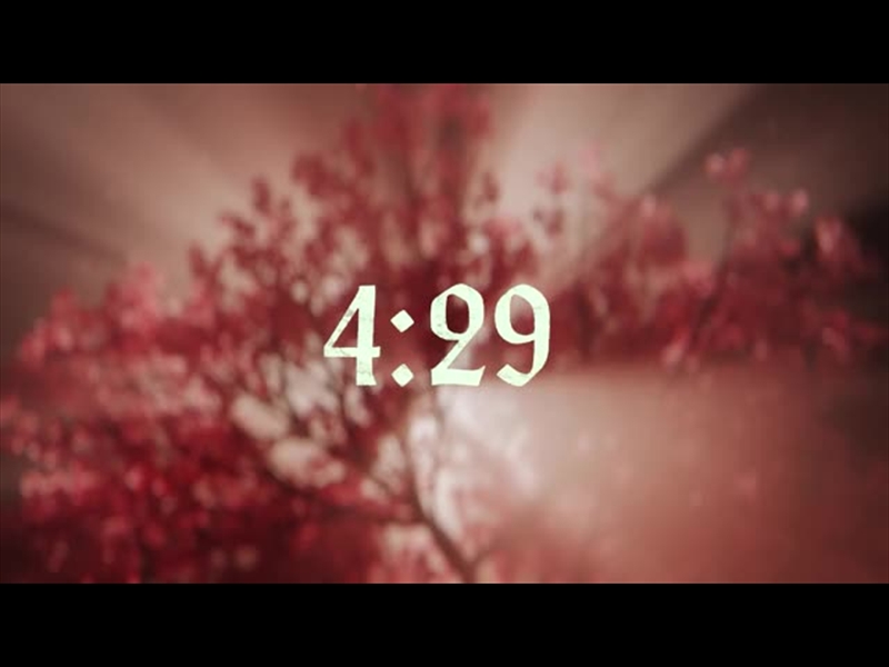 HOLY WEEK 5 MIN COUNTDOWN - CHERRY BLOSSOMS