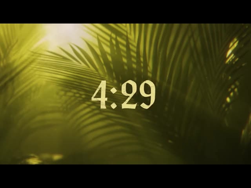 HOLY WEEK 5 MIN COUNTDOWN - PALMS