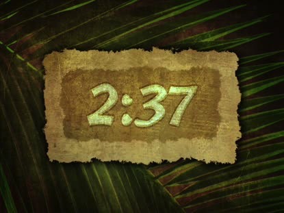 ANCIENT PALM 1 HD COUNTDOWN