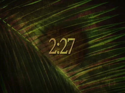 ANCIENT PALM 2 HD COUNTDOWN