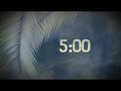 PALM BRANCHES COUNTDOWN