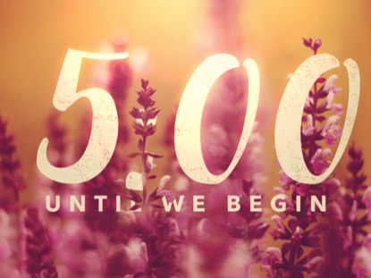 VIBRANT BLOOMS COUNTDOWN