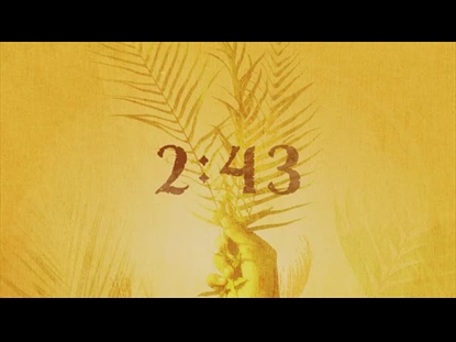 WITNESS HIS RESURRECTION COUNTDOWN