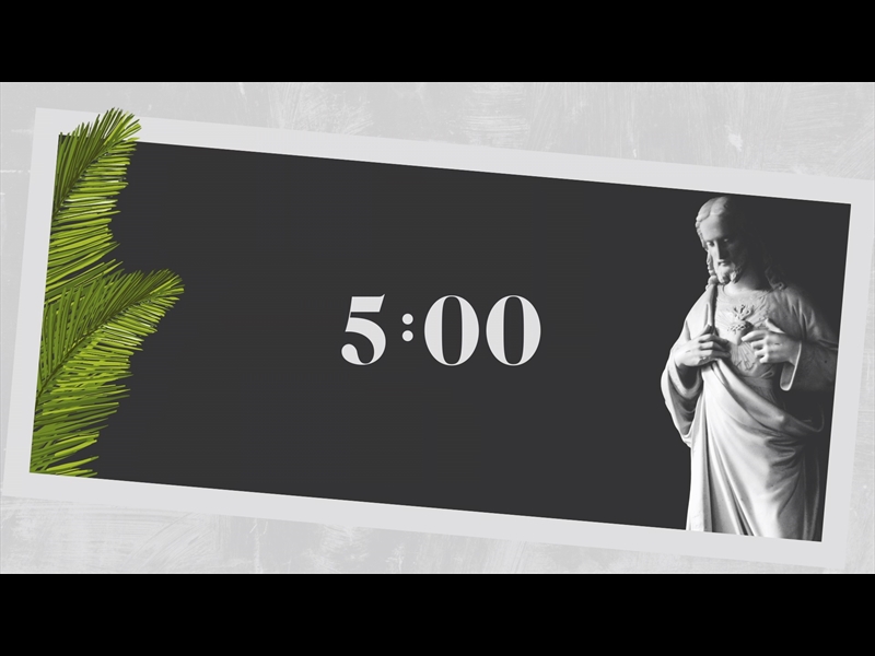 POLAROID PALM COUNTDOWN