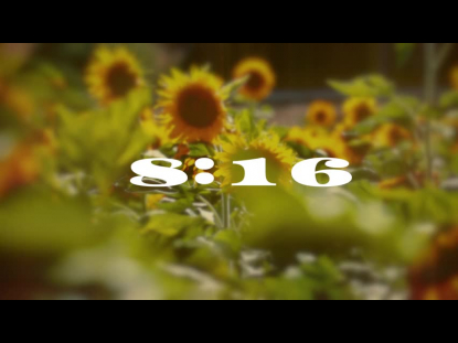 MUTED SPRING 10 MIN COUNTDOWN