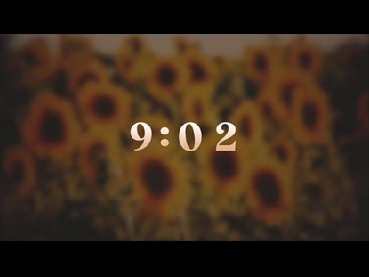 VINTAGE SUNFLOWERS 10 MIN COUNTDOWN