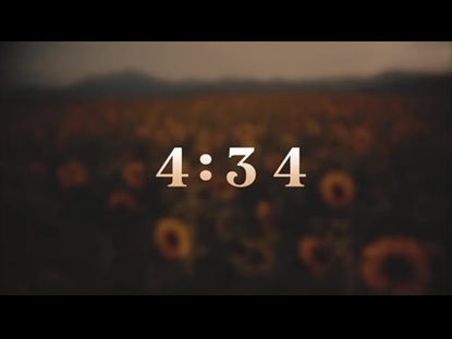 VINTAGE SUNFLOWERS COUNTDOWN