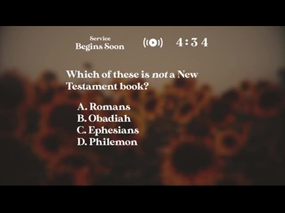 VINTAGE SUNFLOWERS TRIVIA