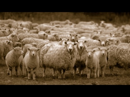 PARABLES: LOST AND FOUND