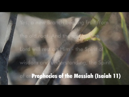 PROPHECIES OF THE MESSIAH ISAIAH 11