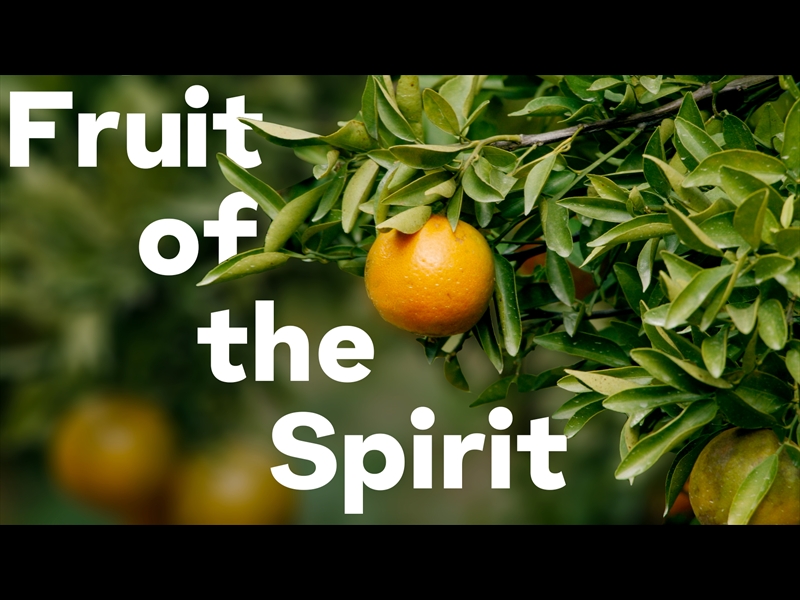 FRUIT OF THE SPIRIT