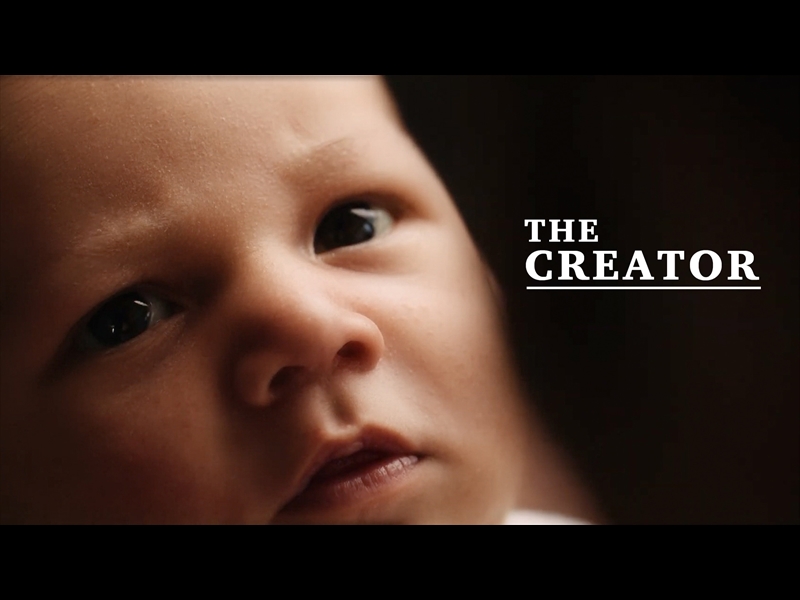 THE CREATOR: SANCTITY OF LIFE SUNDAY