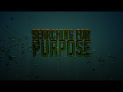 SEARCHING FOR PURPOSE