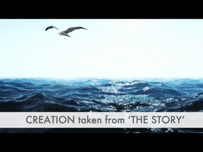 CREATION: THE STORY