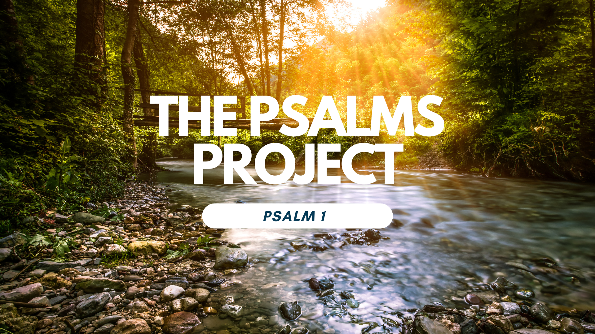 PSALM 1 CINEMATIC SCRIPTURE