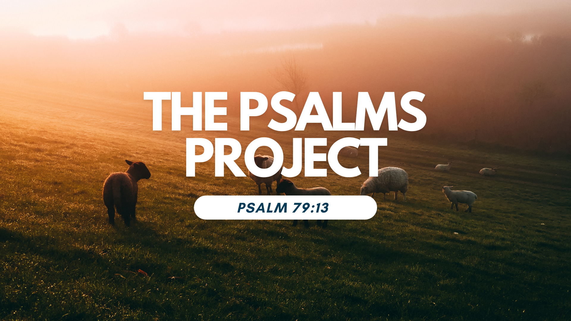 PSALM 79:13 CINEMATIC SCRIPTURE