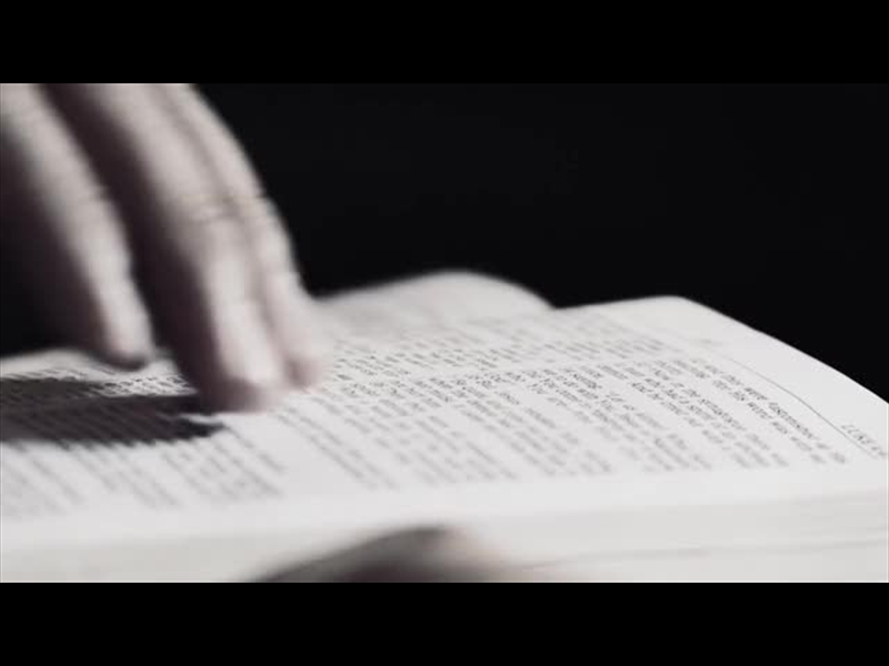 I SEEK YOU WITH ALL MY HEART: MINI-MOVIE