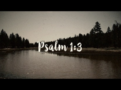 PSALM 1:3