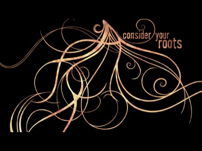 CONSIDER YOUR ROOTS MINI MOVIE