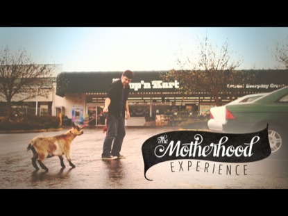 THE MOTHERHOOD EXPERIENCE