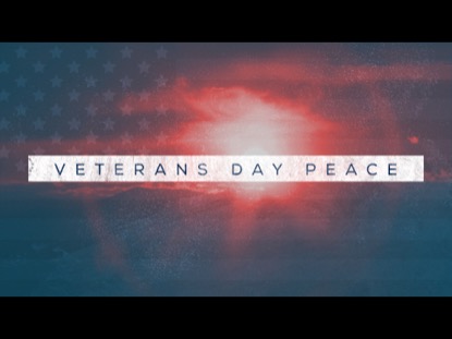 VETERANS DAY PEACE