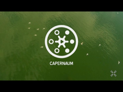 PROMISED LAND CAPERNAUM