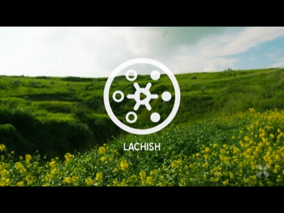 PROMISED LAND LACHISH