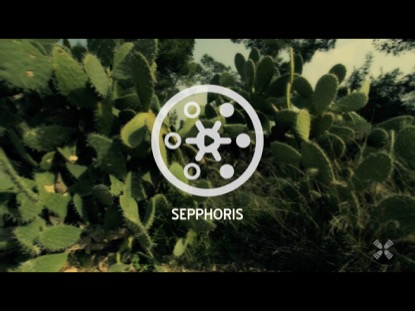 PROMISED LAND SEPPHORIS