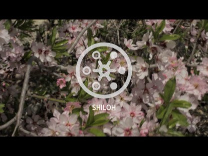 PROMISED LAND SHILOH