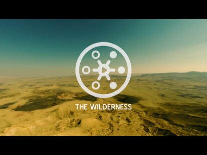 PROMISED LAND THE WILDERNESS