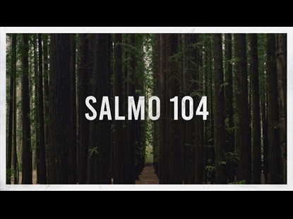 SALMO 104