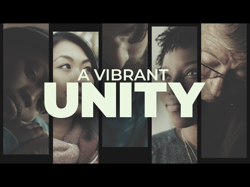 A VIBRANT UNITY