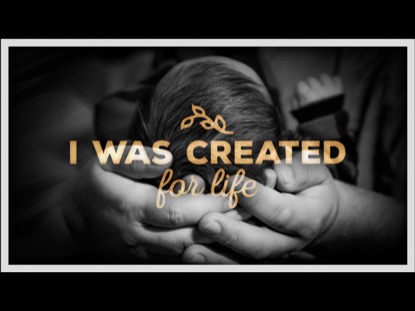 CREATED FOR LIFE
