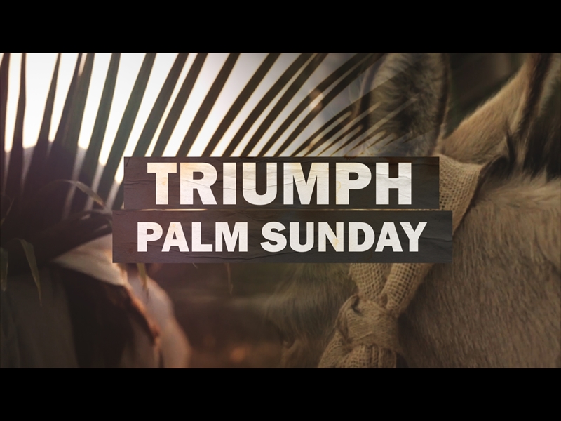 TRIUMPH (PALM SUNDAY)