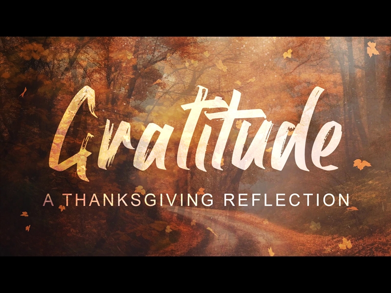 GRATITUDE