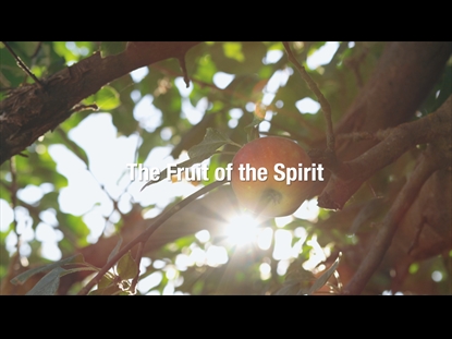 FRUIT OF THE SPIRIT