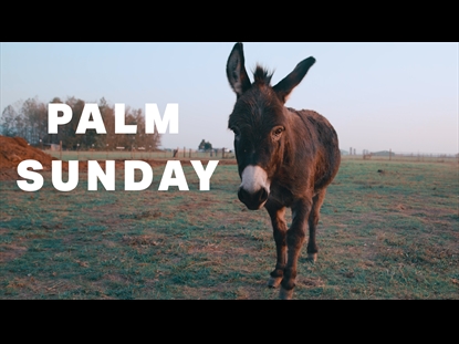 PALM SUNDAY