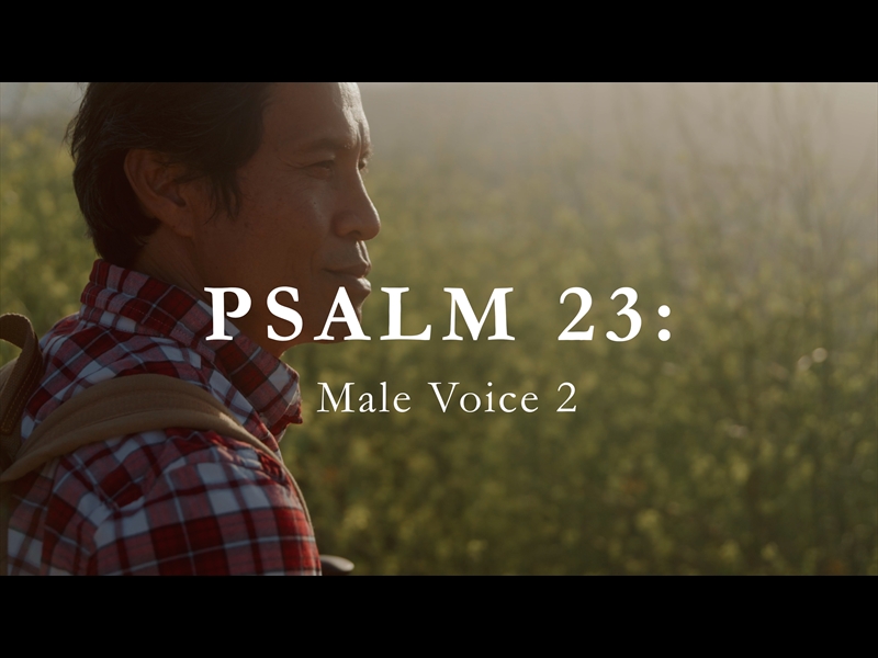 PSALM 23 MALE VOICE 2