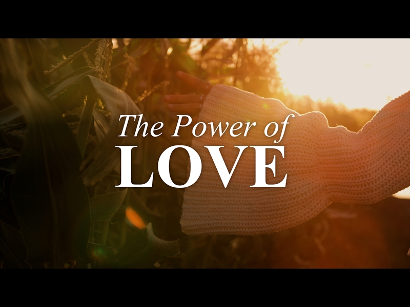 THE POWER OF LOVE