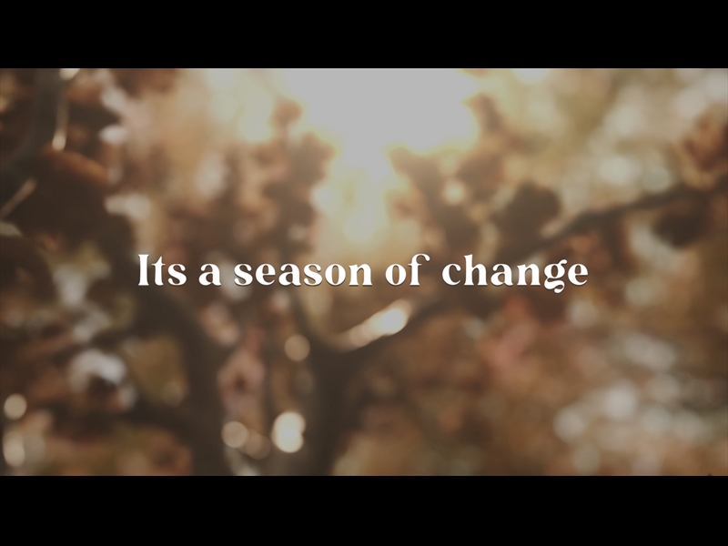 HARVEST - SEASON OF CHANGE