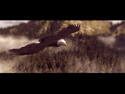 DAY FIVE OF CREATION - GENESIS PARADISE LOST