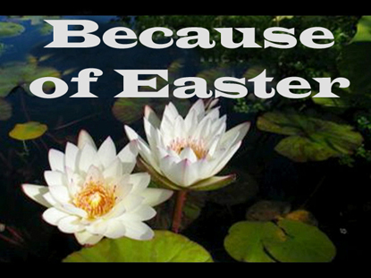BECAUSE OF EASTER