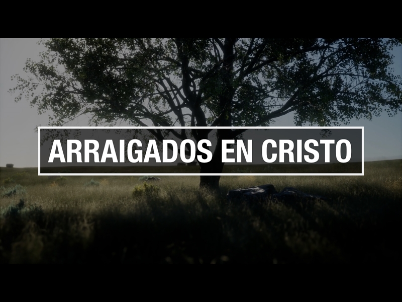 ARRAIGADOS EN CRISTO