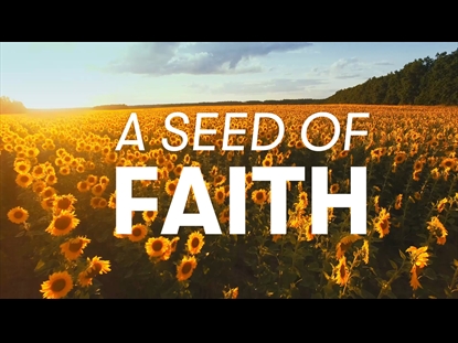 A SEED OF FAITH