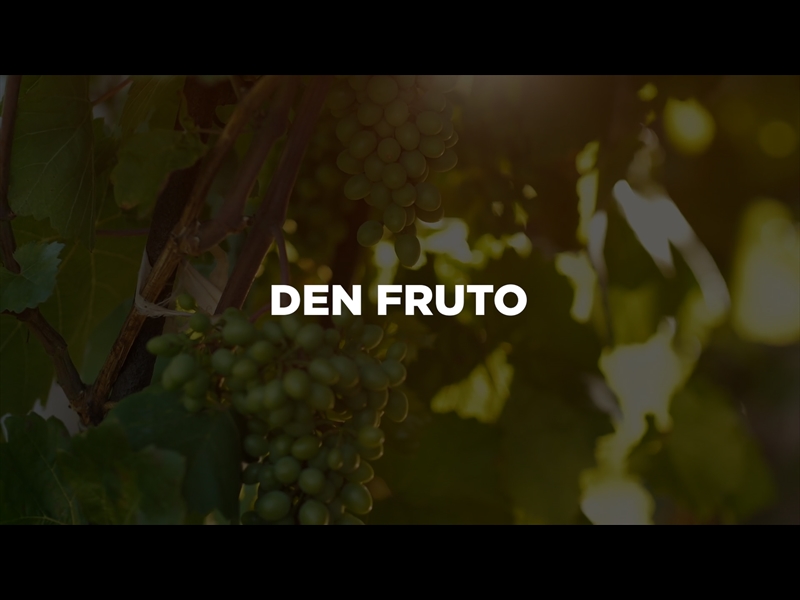 DEN FRUTO